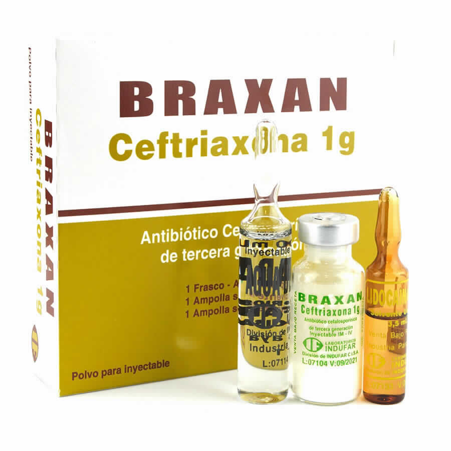 Image miniatura de Braxan-Ceftriaxona-1-gr-Cont-1-ampolla-de-1-mL-6776.jpg